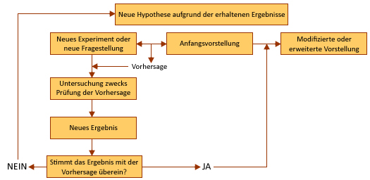 Schema der Herangehensweise