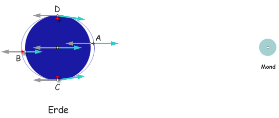 Schema: Wie entstehen Ebbe und Flut?