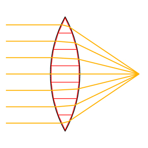 Schematische Darstellung des Verlaufs achsenparalleler
      Lichtstrahlen durch die Segmente einer Sammellinse