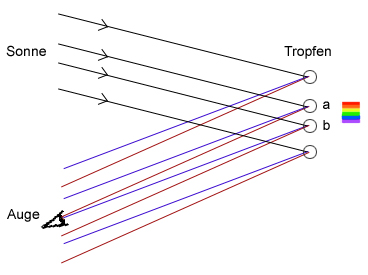Die von verschiedenen Tropfen ausgehenden verschiedenfarbigen
Lichtstrahlen erreichen das Auge